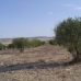 Yecla property: Murcia, Spain Land 99796