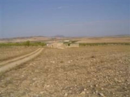 Yecla property: Land for sale in Yecla, Spain 99797