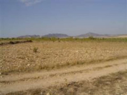 Yecla property: Land with bedroom in Yecla 99797