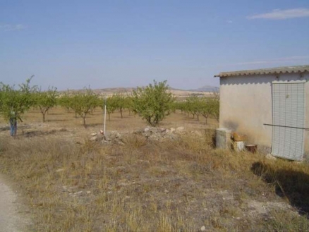 Yecla property: Land in Murcia for sale 99803