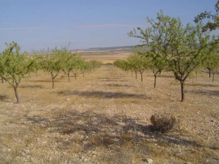Yecla property: Murcia Land 99803