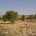 Yecla property: bedroom Land in Yecla, Spain 99803