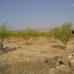 Yecla property: Yecla Land, Spain 99803