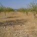 Yecla property: Murcia Land, Spain 99803