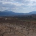 Pinoso property: Pinoso Land, Spain 99811