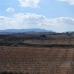 Pinoso property: Beautiful Land for sale in Alicante 99811