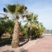 San Miguel De Salinas property: Villa in Alicante 99983