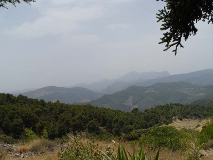 Villa with 6 bedroom in town, Spain 117862
