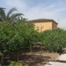 San&nbsp;Vicente&nbsp;Del&nbsp;Raspeig&nbsp;property:&nbsp;5&nbsp;bedroom&nbsp;Villa&nbsp;in&nbsp;Alicante&nbsp;117885