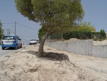 Busot&nbsp;property:&nbsp;Land&nbsp;with&nbsp;bedroom&nbsp;in&nbsp;Busot,&nbsp;Spain&nbsp;117948