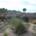 Busot&nbsp;property:&nbsp;bedroom&nbsp;Land&nbsp;in&nbsp;Alicante&nbsp;117958