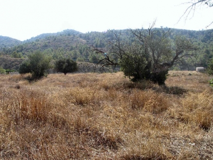 Land&nbsp;with&nbsp;bedroom&nbsp;in&nbsp;town,&nbsp;Spain&nbsp;118102