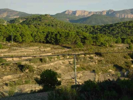 Land&nbsp;for&nbsp;sale&nbsp;in&nbsp;town,&nbsp;Spain&nbsp;118162