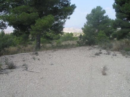 Busot&nbsp;property:&nbsp;Land&nbsp;for&nbsp;sale&nbsp;in&nbsp;Busot,&nbsp;Spain&nbsp;118390