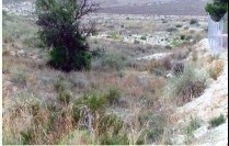 Agost&nbsp;property:&nbsp;Land&nbsp;for&nbsp;sale&nbsp;in&nbsp;Agost,&nbsp;Spain&nbsp;118392