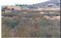 Agost&nbsp;property:&nbsp;Land&nbsp;with&nbsp;bedroom&nbsp;in&nbsp;Agost&nbsp;118392