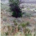 Agost&nbsp;property:&nbsp;Agost,&nbsp;Spain&nbsp;Land&nbsp;118392
