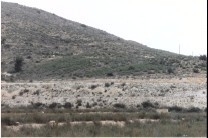 Agost&nbsp;property:&nbsp;Land&nbsp;with&nbsp;bedroom&nbsp;in&nbsp;Agost&nbsp;118483