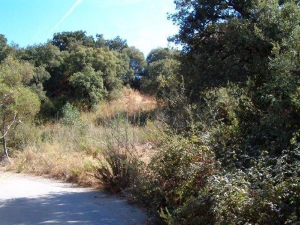 Elviria property: Land for sale in Elviria 119844