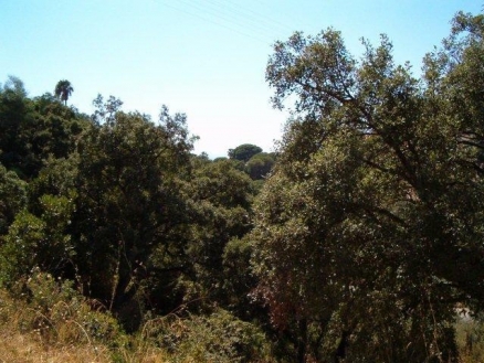 Elviria property: Land for sale in Elviria, Spain 119844