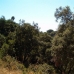 Elviria property: Elviria, Spain Land 119844