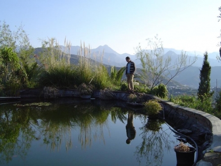 Torrox&nbsp;property:&nbsp;Villa&nbsp;in&nbsp;Malaga&nbsp;for&nbsp;sale&nbsp;119886