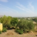 Alhaurin El Grande property: Alhaurin El Grande Villa, Spain 119917