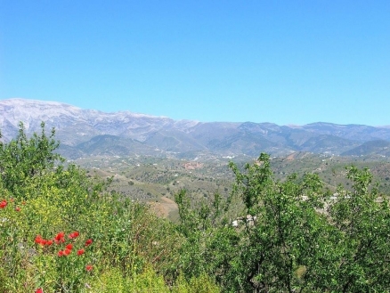 Villa&nbsp;with&nbsp;3&nbsp;bedroom&nbsp;in&nbsp;town&nbsp;119941