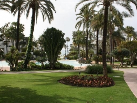 Estepona property: Apartment for sale in Estepona, Spain 119953