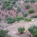 Colmenar&nbsp;property:&nbsp;Malaga&nbsp;Land,&nbsp;Spain&nbsp;119964