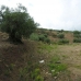 Colmenar&nbsp;property:&nbsp;Beautiful&nbsp;Land&nbsp;for&nbsp;sale&nbsp;in&nbsp;Malaga&nbsp;119964