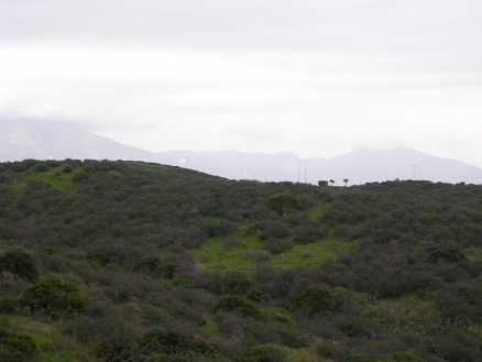 Riviera&nbsp;del&nbsp;Sol&nbsp;property:&nbsp;Apartment&nbsp;for&nbsp;sale&nbsp;in&nbsp;Riviera&nbsp;del&nbsp;Sol,&nbsp;Malaga&nbsp;120007