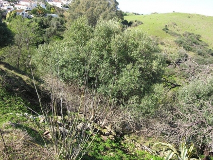 Cerros&nbsp;del&nbsp;Aguila&nbsp;property:&nbsp;Land&nbsp;for&nbsp;sale&nbsp;in&nbsp;Cerros&nbsp;del&nbsp;Aguila,&nbsp;Spain&nbsp;120009