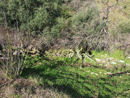 Cerros&nbsp;del&nbsp;Aguila&nbsp;property:&nbsp;Land&nbsp;with&nbsp;bedroom&nbsp;in&nbsp;Cerros&nbsp;del&nbsp;Aguila&nbsp;120009