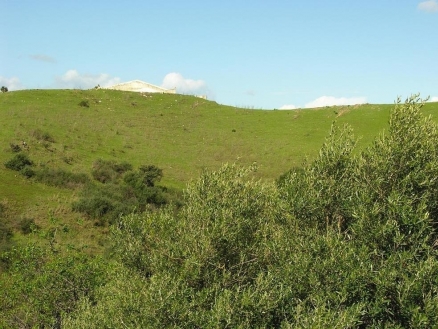 Cerros&nbsp;del&nbsp;Aguila&nbsp;property:&nbsp;Land&nbsp;in&nbsp;Malaga&nbsp;for&nbsp;sale&nbsp;120009