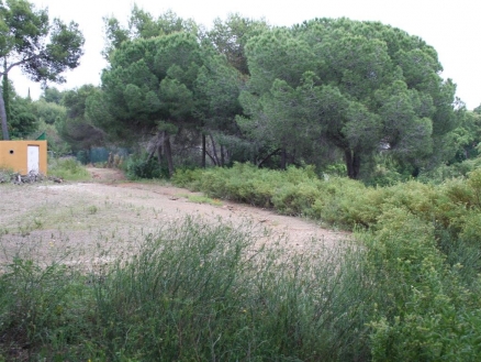 Hacienda&nbsp;Las&nbsp;Chapas&nbsp;property:&nbsp;Land&nbsp;with&nbsp;bedroom&nbsp;in&nbsp;Hacienda&nbsp;Las&nbsp;Chapas&nbsp;120214