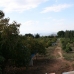 Alhaurin El Grande property: Villa in Malaga 120477