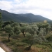 Alhaurin El Grande property: Beautiful Villa for sale in Alhaurin El Grande 120477