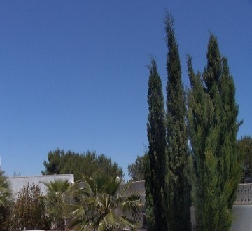 Ciudad Quesada property: Villa with 3 bedroom in Ciudad Quesada, Spain 120662