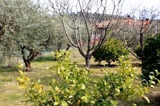 Ontinyent&nbsp;property:&nbsp;Villa&nbsp;with&nbsp;3&nbsp;bedroom&nbsp;in&nbsp;Ontinyent&nbsp;121438