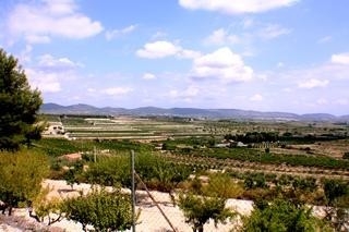 town&nbsp;Villa&nbsp;121447