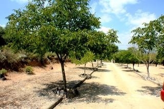 Alicante&nbsp;Villa&nbsp;121447