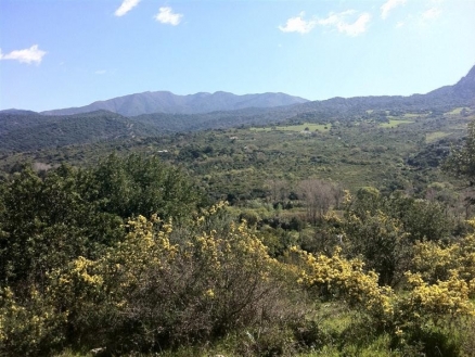 Gaucin&nbsp;property:&nbsp;Land&nbsp;for&nbsp;sale&nbsp;in&nbsp;Gaucin&nbsp;121625