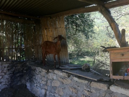 Gaucin&nbsp;property:&nbsp;Land&nbsp;with&nbsp;bedroom&nbsp;in&nbsp;Gaucin,&nbsp;Spain&nbsp;121625