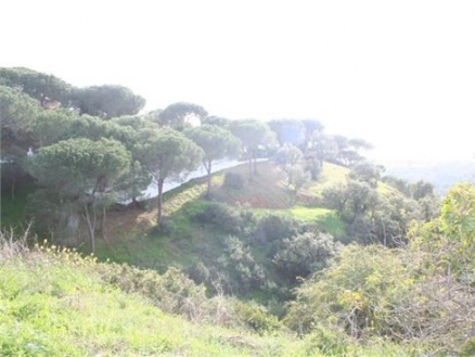 Elviria property: Land with bedroom in Elviria 121726