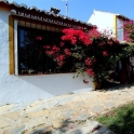 Estepona property: Villa for sale in Estepona 121734