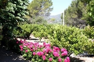 Ontinyent&nbsp;property:&nbsp;Villa&nbsp;for&nbsp;sale&nbsp;in&nbsp;Ontinyent,&nbsp;Valencia&nbsp;122596