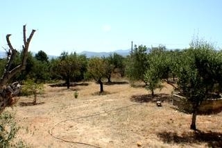 town,&nbsp;Spain&nbsp;|&nbsp;Villa&nbsp;for&nbsp;sale&nbsp;122611
