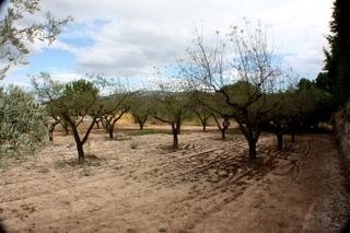 Ontinyent&nbsp;property:&nbsp;Valencia&nbsp;Villa&nbsp;122619