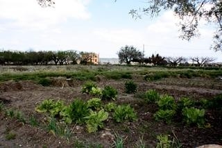 town&nbsp;Villa&nbsp;122636